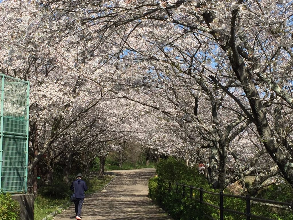 花川運動公園