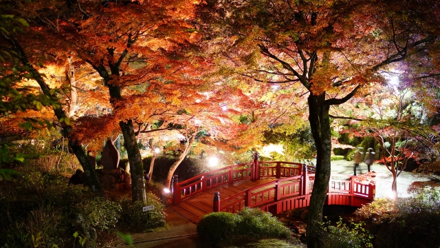 紅葉スポット 熱海梅園