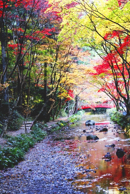 小國神社
