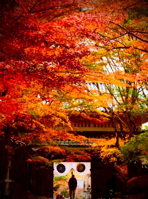 油山寺