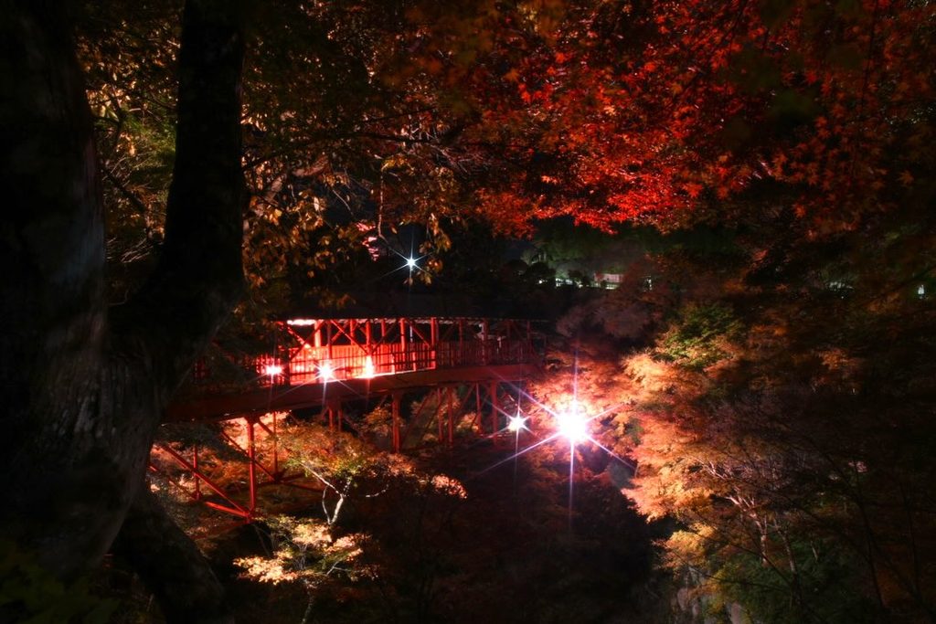 方広寺-ライトアップ