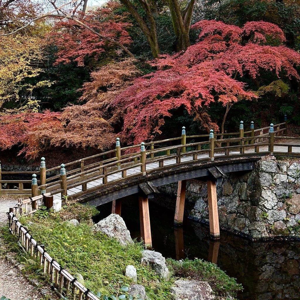 浜松城公園