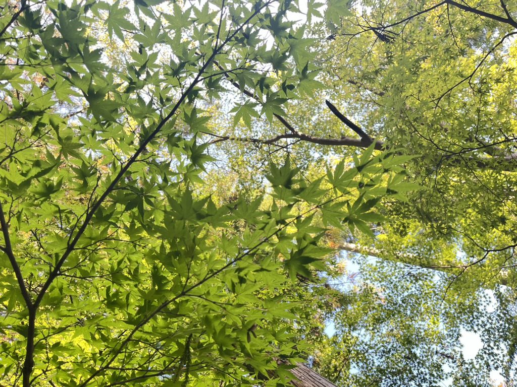小國神社