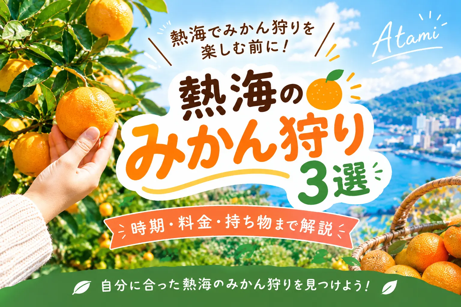 熱海　みかん狩り