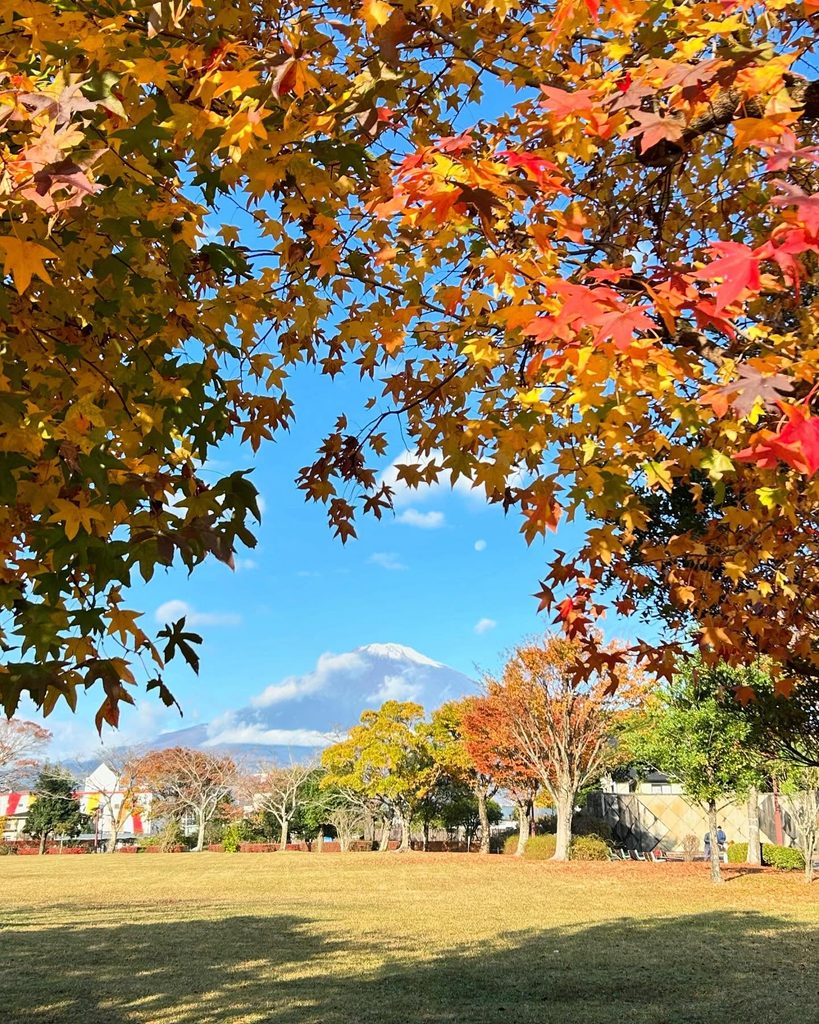 御殿場の紅葉スポット 御殿場市中央公園