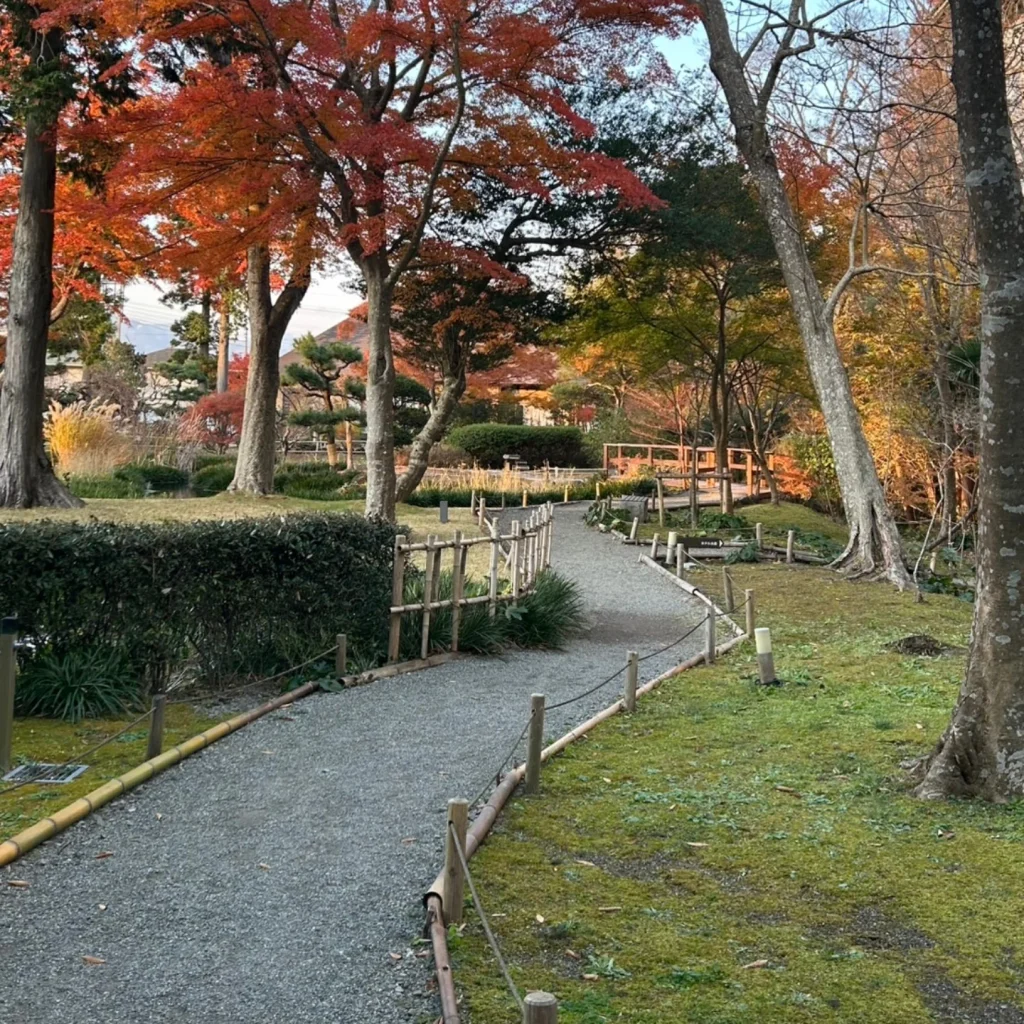 マースガーデンウッド御殿場